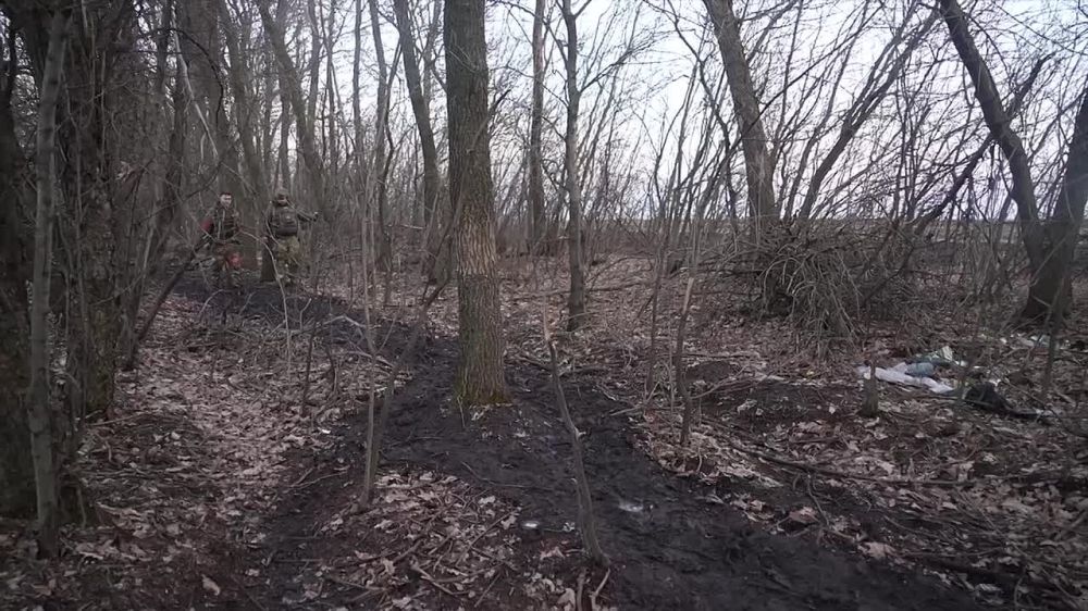 ������� ��������� � �������� �� ��������������� �����������