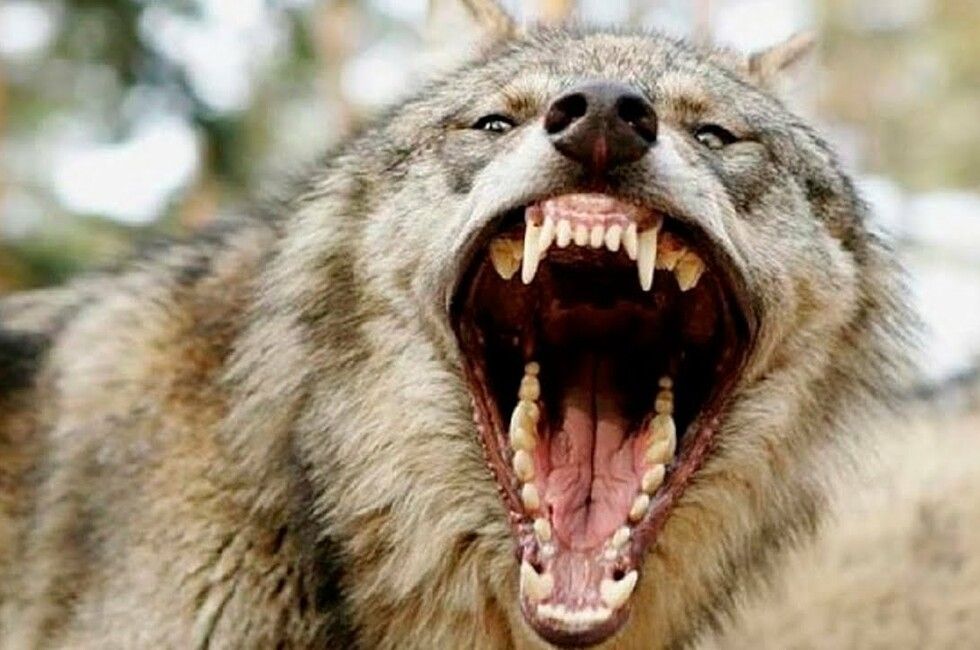 ������� ���� �� ������� ������ ����� ����� ������� ���������� �������� �������� � ���