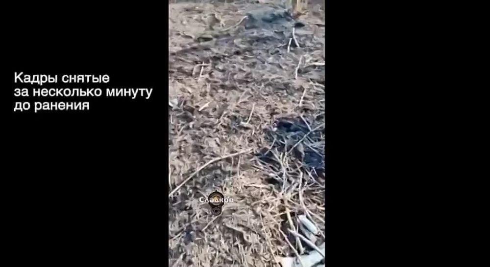 ��������� �������: ���� �����ѻ, ������� � ��������� ���������: �� ��� �����, ��� � 2014-� ����������, ��� ���� ������� ������ ���ӻ�