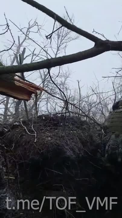 ������ �������: �����-����������� ��������� ��������� ������� ���������� ����� ��� ���������