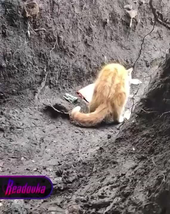 ������� ���� �� 13 ������ � �������� � ������ ��� �������� �� ��������� ��� ���������