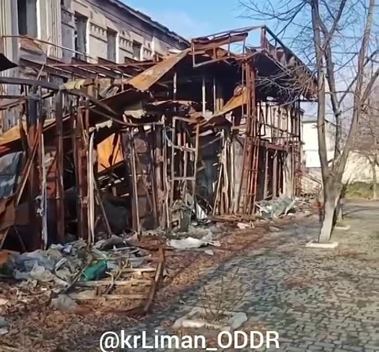 ������� �����, �-� �����. ���� 2023