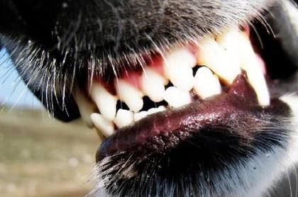 � ��� ������� ������� ��������������� ��������� ����� �������� ��������