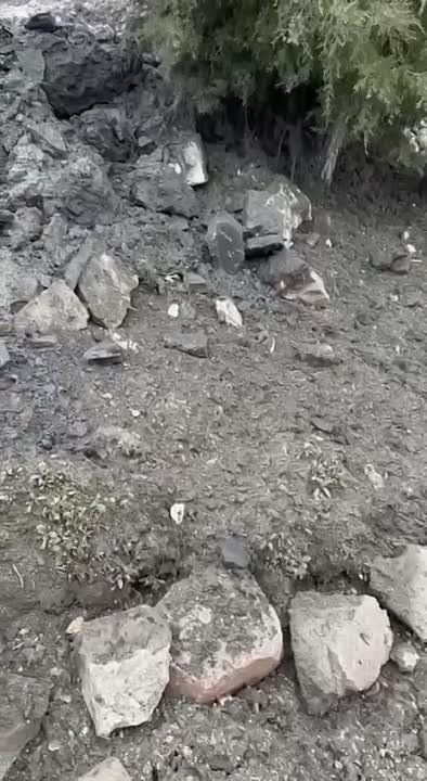 ������� ���������� ����� �������� � ���. ����� ��������������� ��� ������ �� ����� ��������