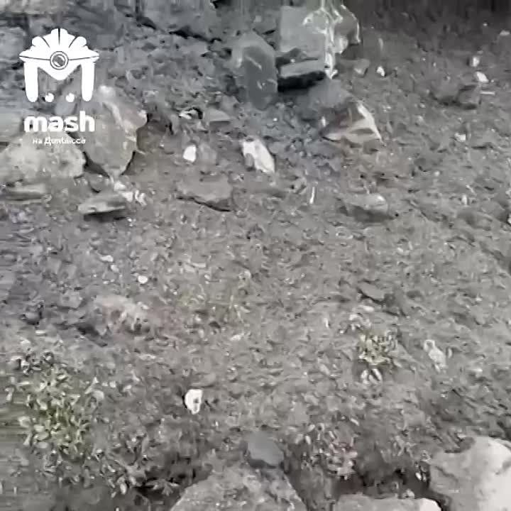 � ��������� � ����� �� ����� �������, ������ ��������� � ����� ���. ���� ������� � ��� ������� �� ������� ��������������
