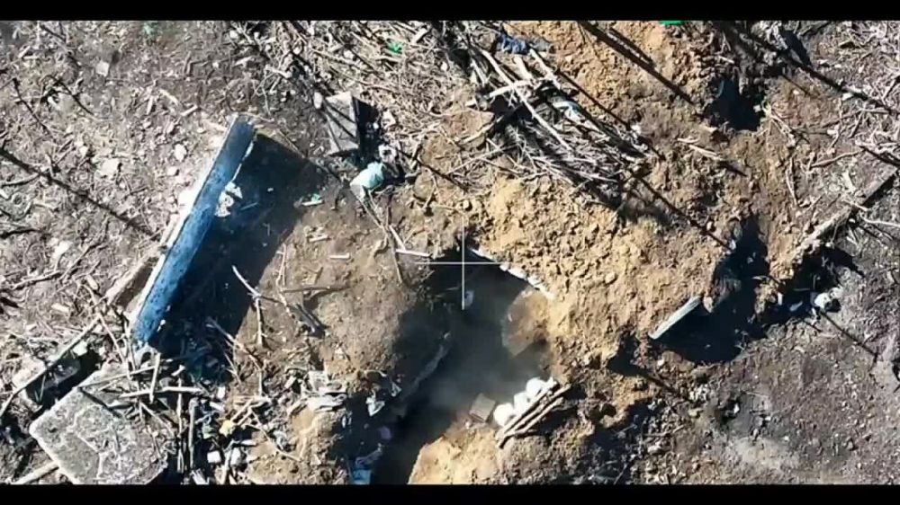 ������� ���������: ������ �������������������� ������ � 20-� ��� �������� �� ���������� �����������