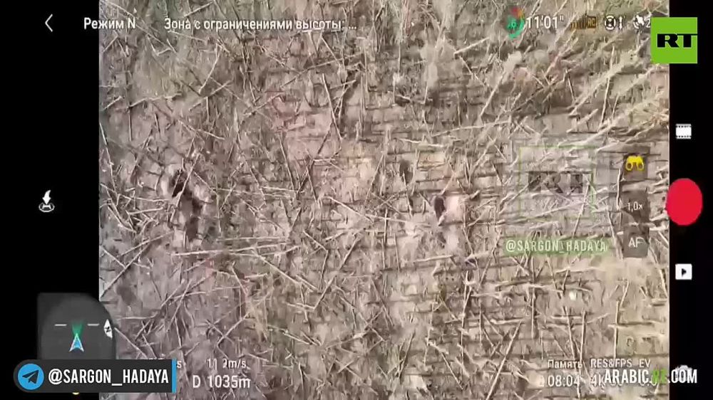 ������ ������� ��� ������������� ������������ ���������� �� ���������� ������