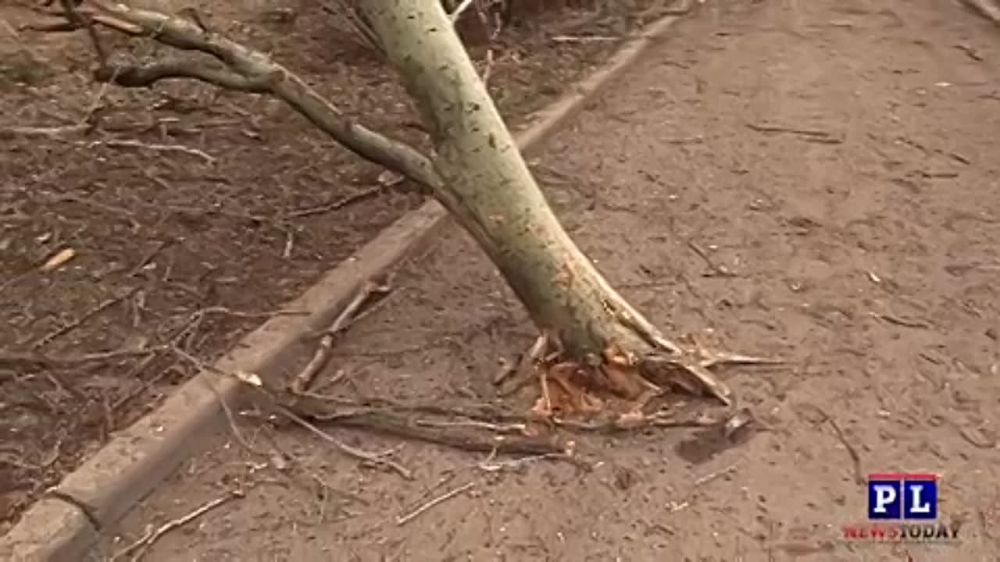 ������ ���������: ���������� ������ ������ � ��������� �������, ����� 19-������ ������� ������� (����������� ��������)