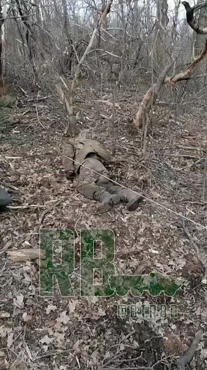 ���������� ������� �������� ����� ������ ��������� �� ��������� ��������