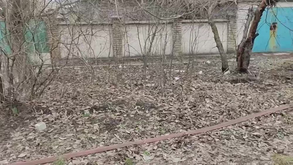 �������� ������: ����� �������� ���������� ��������� ������ ������ �� ���� �������� � ����� ������ ��������� ������� ��...