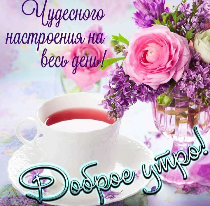 ������� �������: