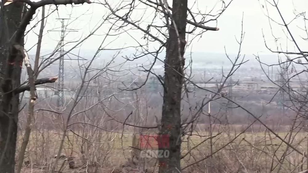 ������������ ��� � ���������� (�������) �� ������������