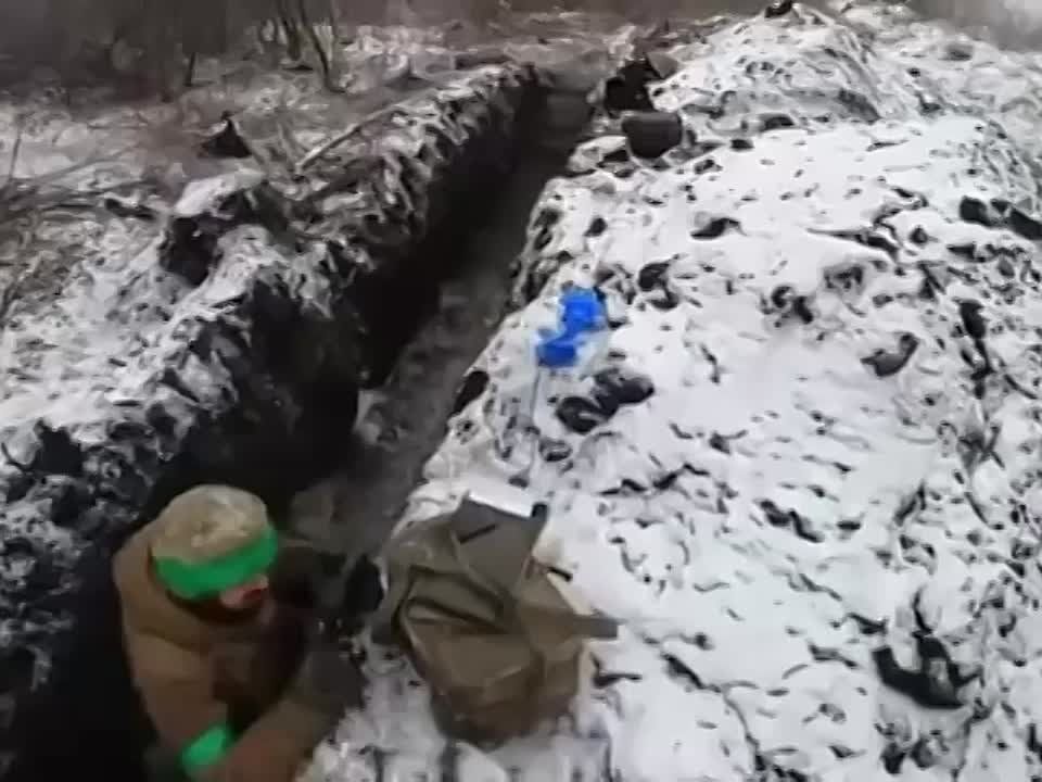 ������ ����������, ������ �����, �������� ��� ��������, ������ �������� � ����������, ������ �� �������� �� �����������