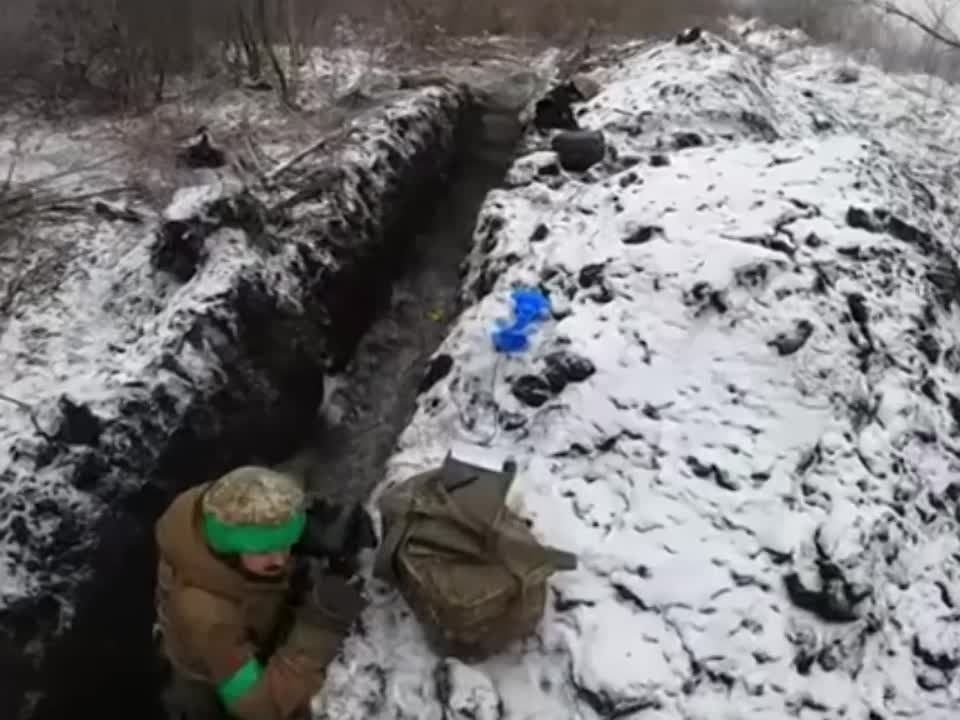 ����� ���, �������� ��� ��������, ��������� �������� � �������� ������ �� "��������" �� �����������