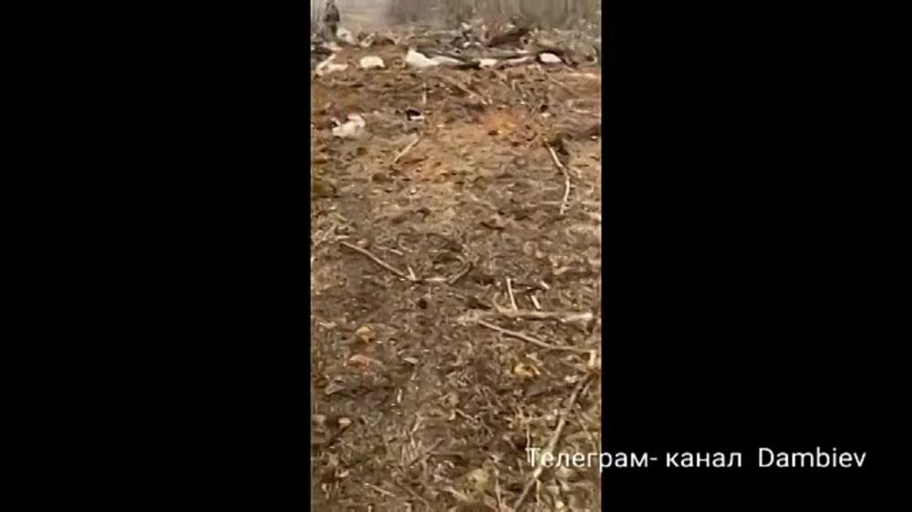 ������ �������: ������� ���������� ����� ��� ��������� ������� ����������