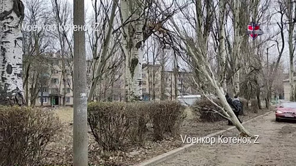 ���� �������: ���� ���� �������� � �������