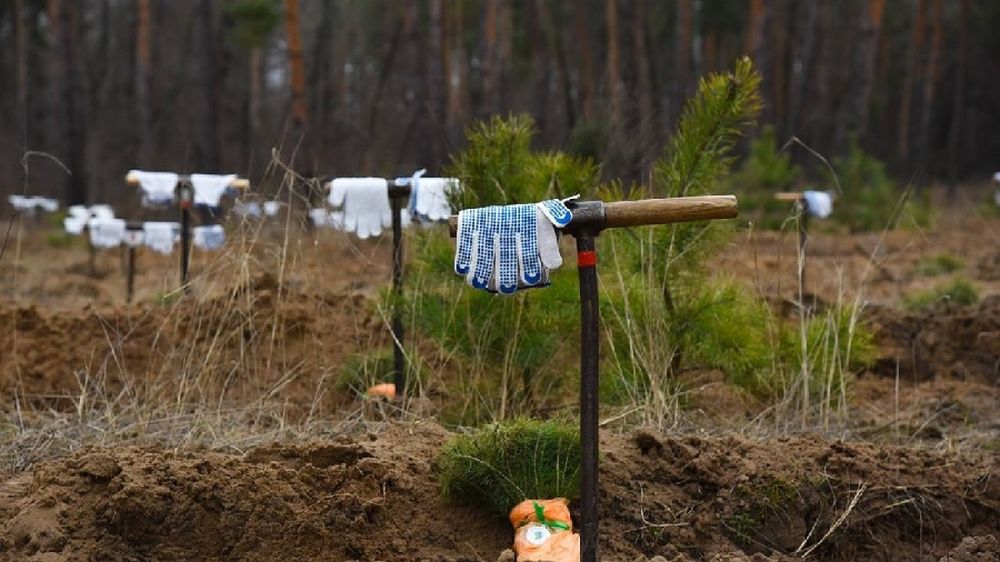 � 21 ����� � ��� �������� ������������� ����� ���� ������