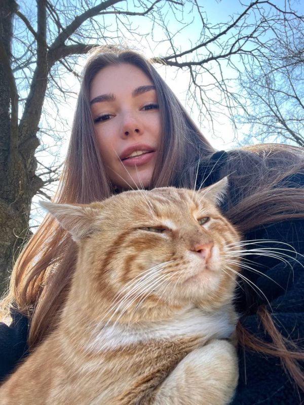 ������� �������: �������� ����� �������