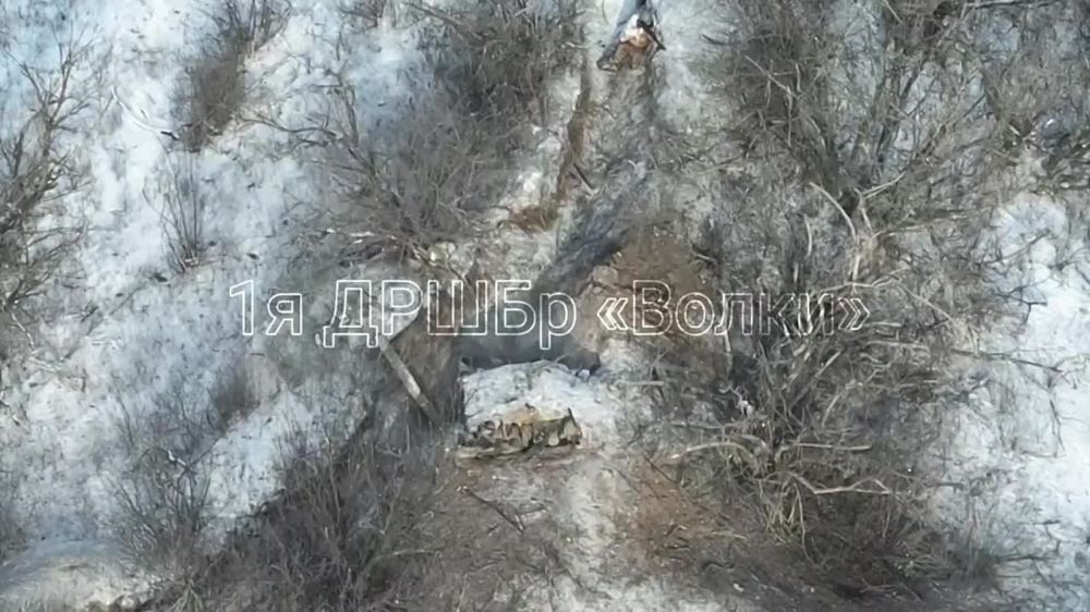 ������ ����������: �������� ������ ������ ������� ��� ��� ���������