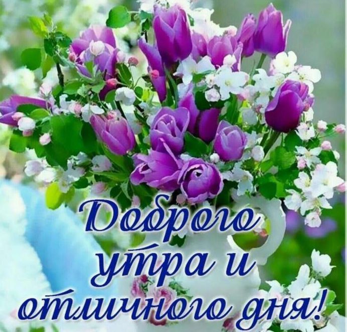 ������� �������: