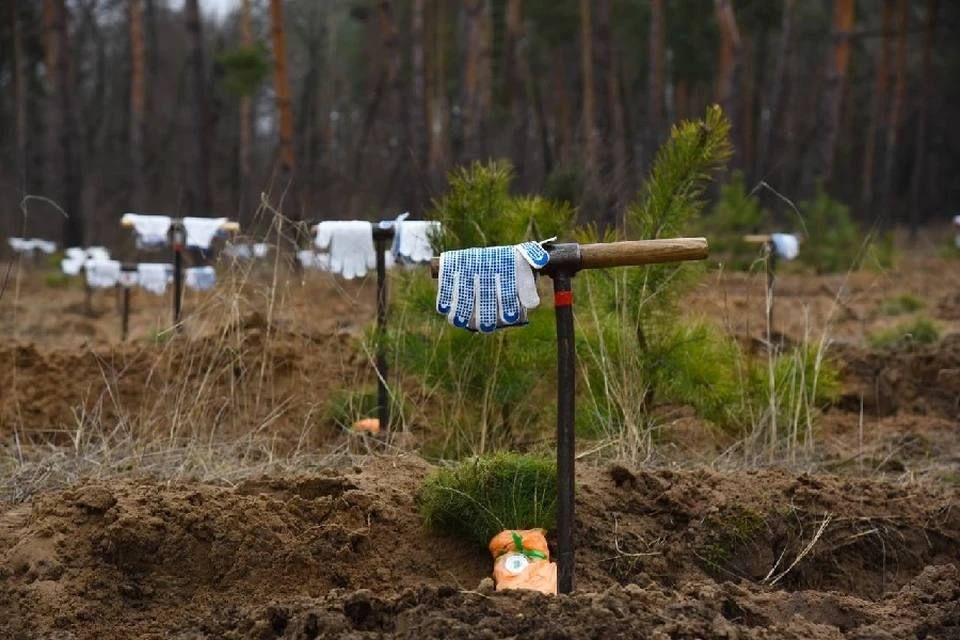 � 21 ����� � ��� �������� ������������� ����� ���� ������