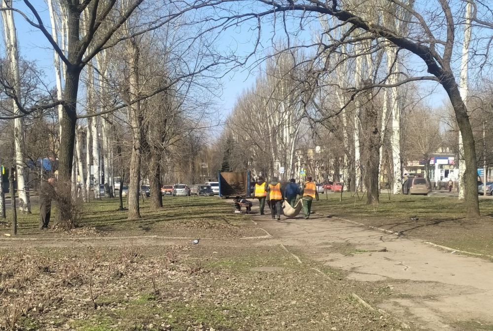 Василий Ткачук: Муниципальным унитарным предприятием администрации г. Донецка "Зеленого строительства Калининского района г. Донецка" ведутся работы по уборке листвы на разделительной полосе по бульвару Шахтостроителей