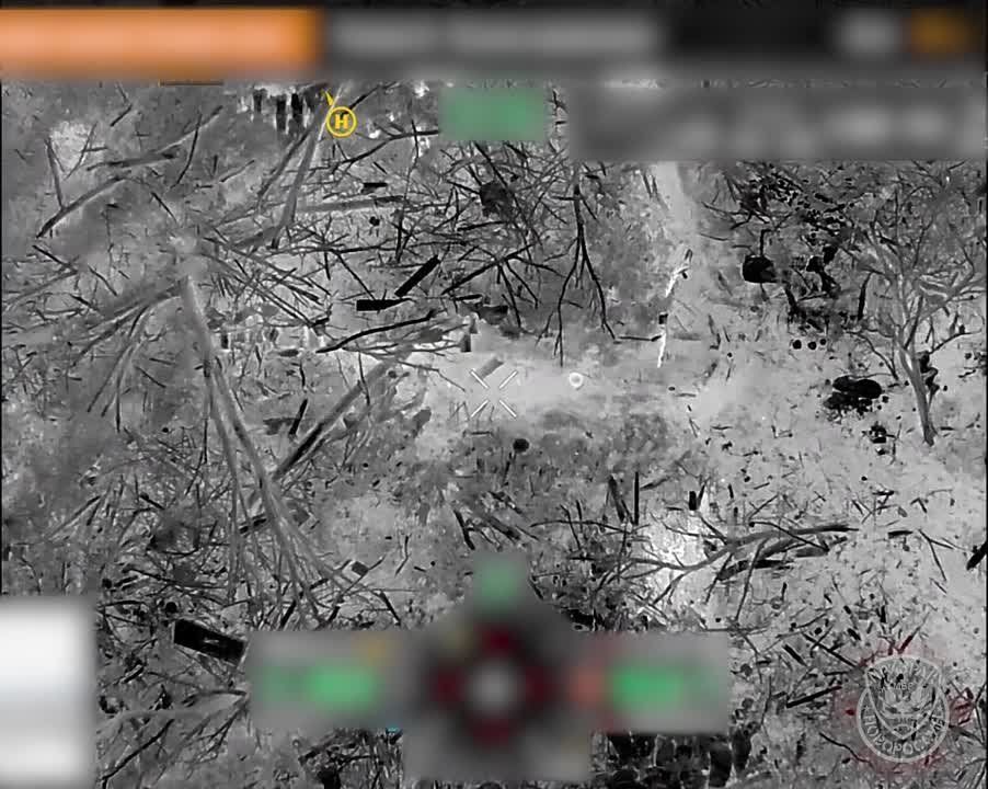 �������� ������ ���������� �������� ������ "������" �� ��������� �����������