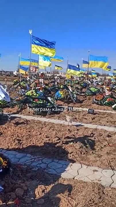 ������ �������: ��� ��� � ������� ���. �� ����� �������� ��������������� ��������� � ������� ������� �������� �������