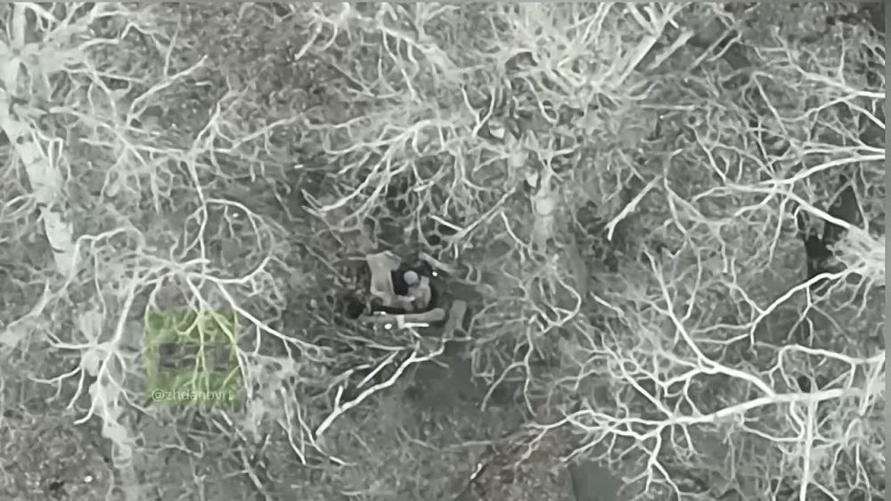 ����� ������: ����������� �������� ��� ������������ (���): � ������ ���� ������ ������� ��� �������� � ������