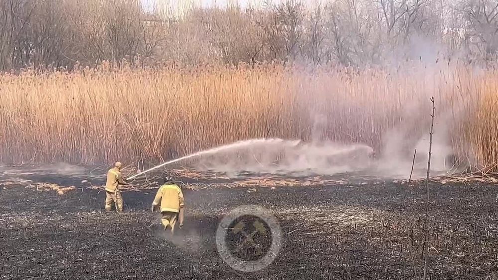 � ������� �� �� �� �������