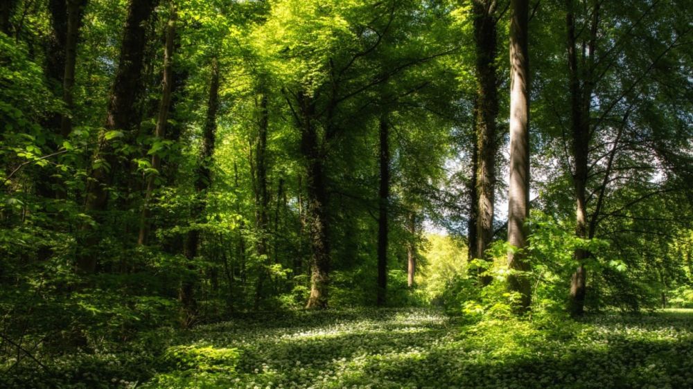 ������ ���� ��� ��������� �� ����� �� ������ ��������