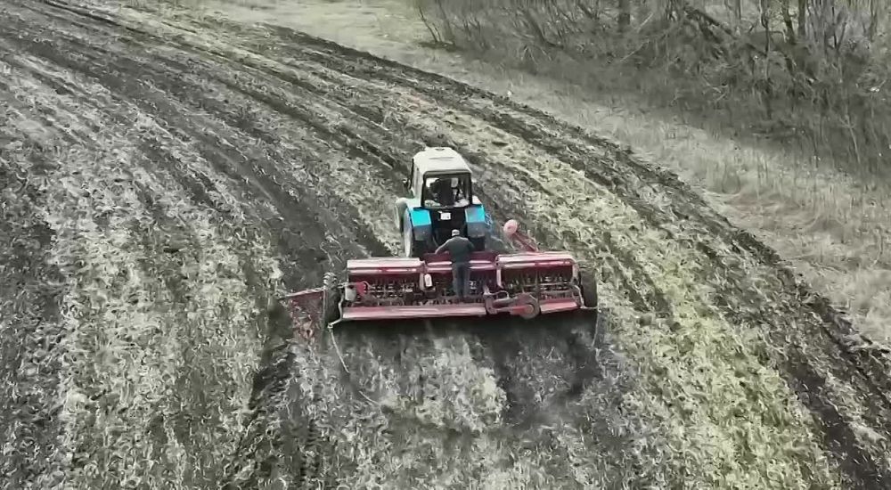 ������� �������: �������� �������� �������� � ���������� �������� �� �������