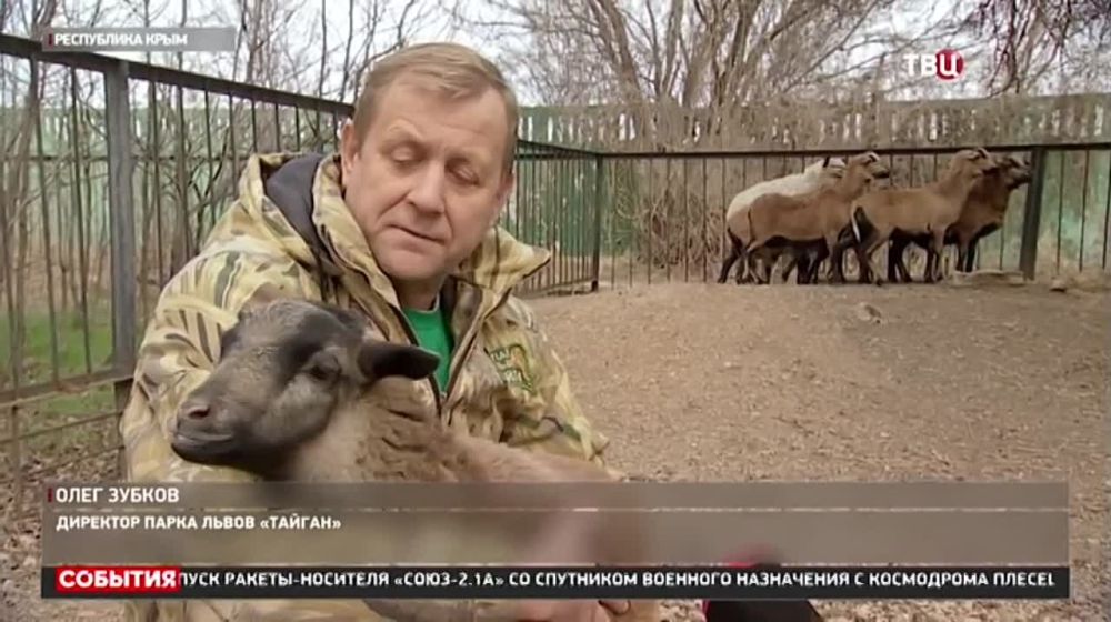 ������ ��������: �������������� �������� �� ��������� �������� ����������� � �����! �������� ����� ����� ������ ���� ������ ����� ���, ������� �������, ��������, �������, ����, ������ �� �������� � ������������ ������� ������ ������ ���������