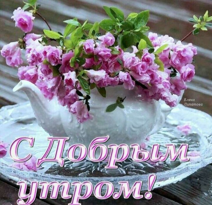 ������� �������: