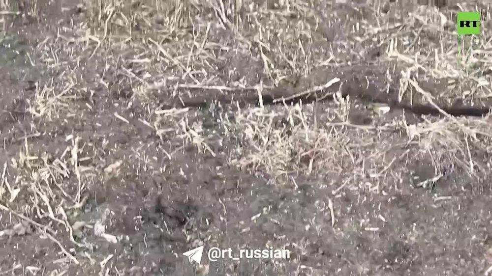 ��������� � �������� "�������" �� ������� �������� "�����" � 2-�� �� 8-� ����� ��� �� ������ �������� ������ �� ��������� �����������