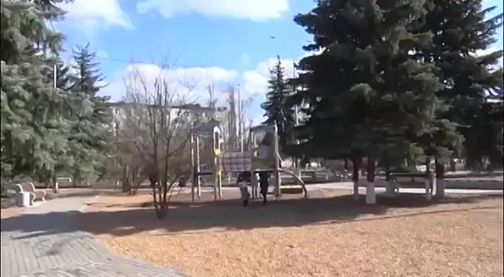 ����������� ������� ����������� � �������� 13 �������� � ���� ����