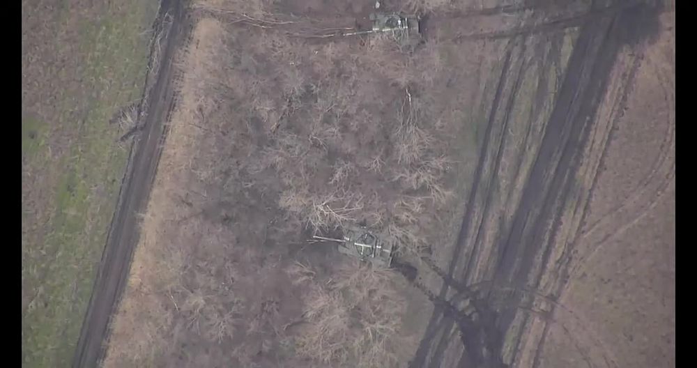 ������� ���������: �� �������� ����������� "������" ����� �������� ����