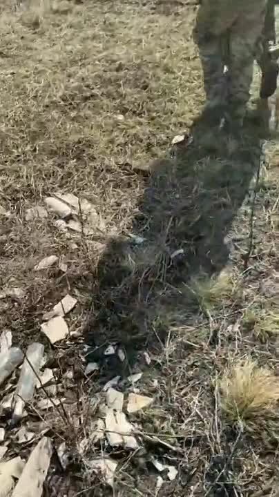 ��������. ��������� ������ ��������, ������� "����" �� ����������, ������������ �� � "����������"