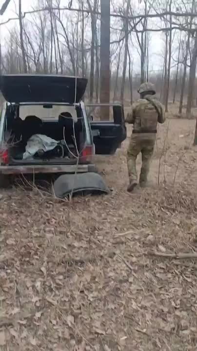 ��� �������� ������� �������-��������