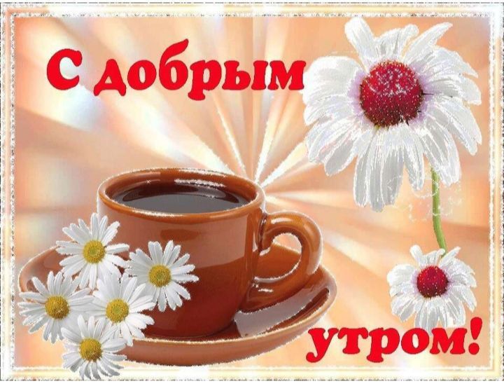 ������� �������: