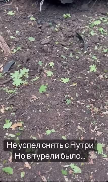 ������ �������: ��� ���� ������������ ���������� ��������������� �����-2 ������������ ��������� ��� ��������� ���-�� � ���� ���������� ���. ���� �� ������ ��� ������-����������������� ���������� ������� �����