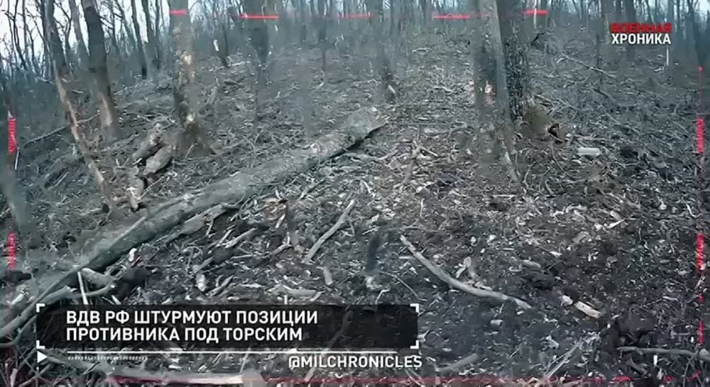 24 ����� � ������� ������� ������� ����� ���