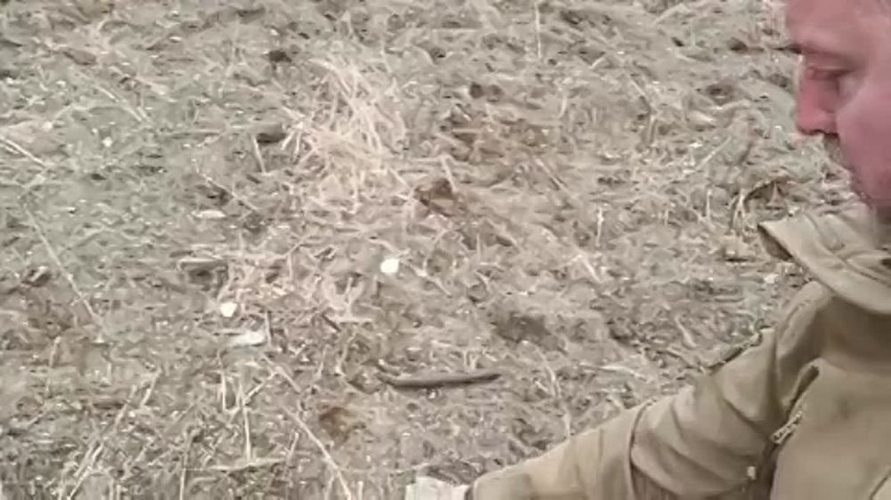 ������ ���������: ������� ���������� �������� � �������� �� ����������������� ������