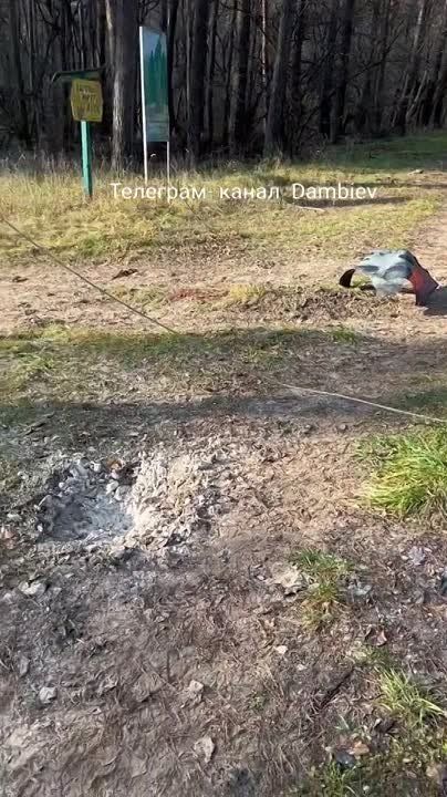 ������ �������: ����� �� ����������� ��������