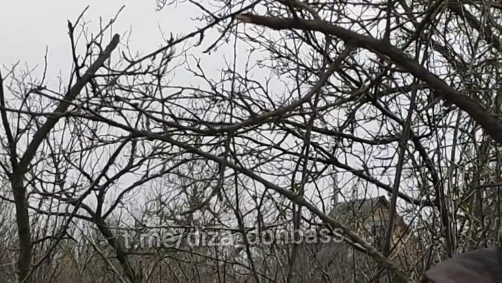 ������ ���������: ������� ������������� ������ ������� ��� ������ � ���� ���