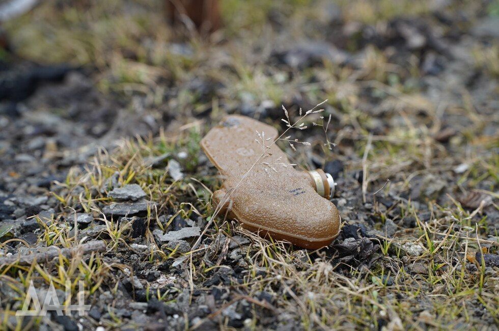 ���� ��������: ��� �������� ����������� �� ����� �� ����������� ����� "��������", ������� ���������������� ������� ���������� ������� ������������ �� ������ ��������������� ��������� �������