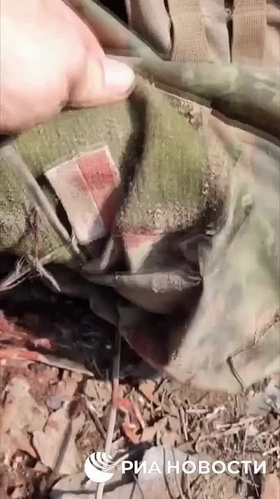� ��� ���������� ��������� �� ������ � ������