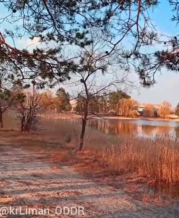 ������� �����, ����� �������������