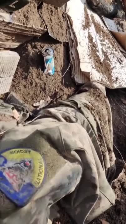 ���������� ����� ���������� ����������� �������� �� ������ � ��������