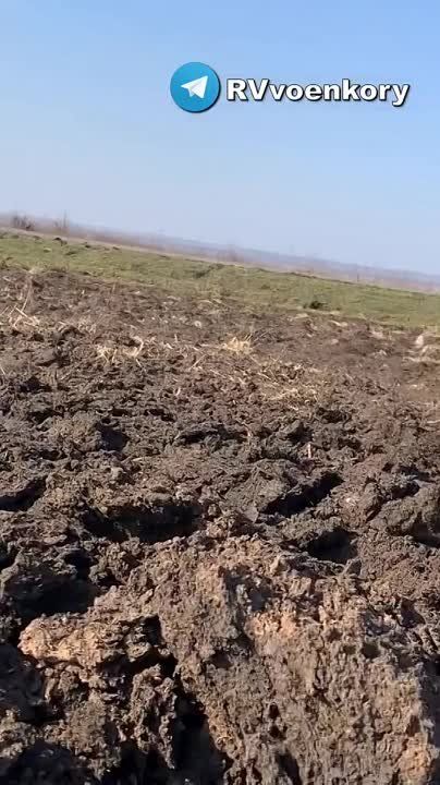 "������ ��� ����� ������� ���� �� ������! - ��� �������� �������������� ��� ��������